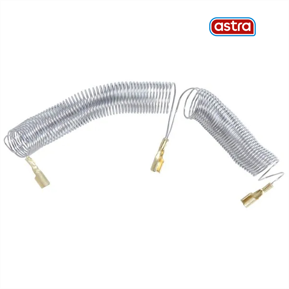 RESIST ASTRA ART BANHO 5500W 220V