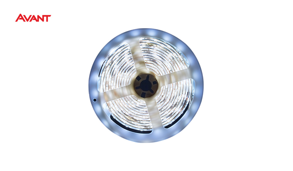 FITA AVANT LED LUCE USO INTERNO 6500K (LUZ BRANCA) - 12V 8W POR METRO - ROLO C/5 METROS