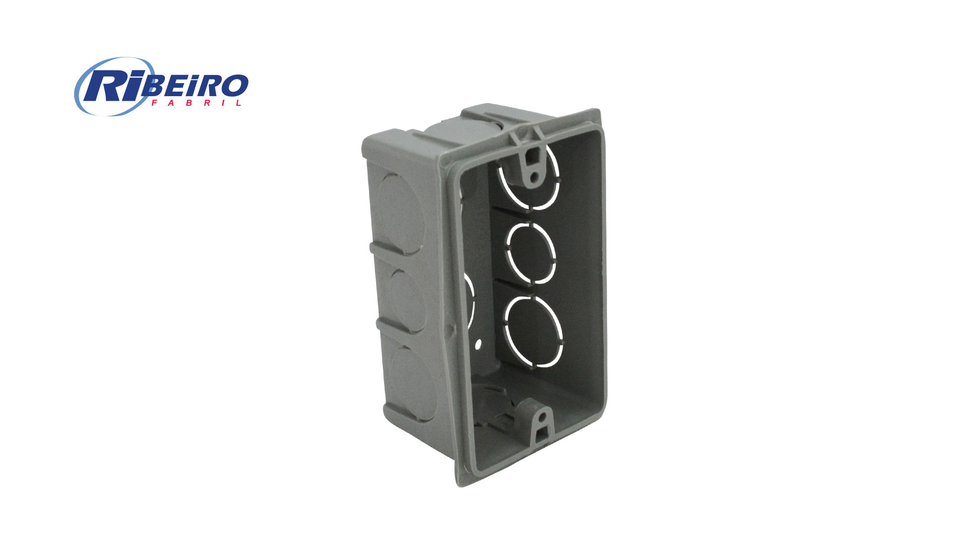 CAIXA RIBEIRO DE LUZ 4X2” CZ